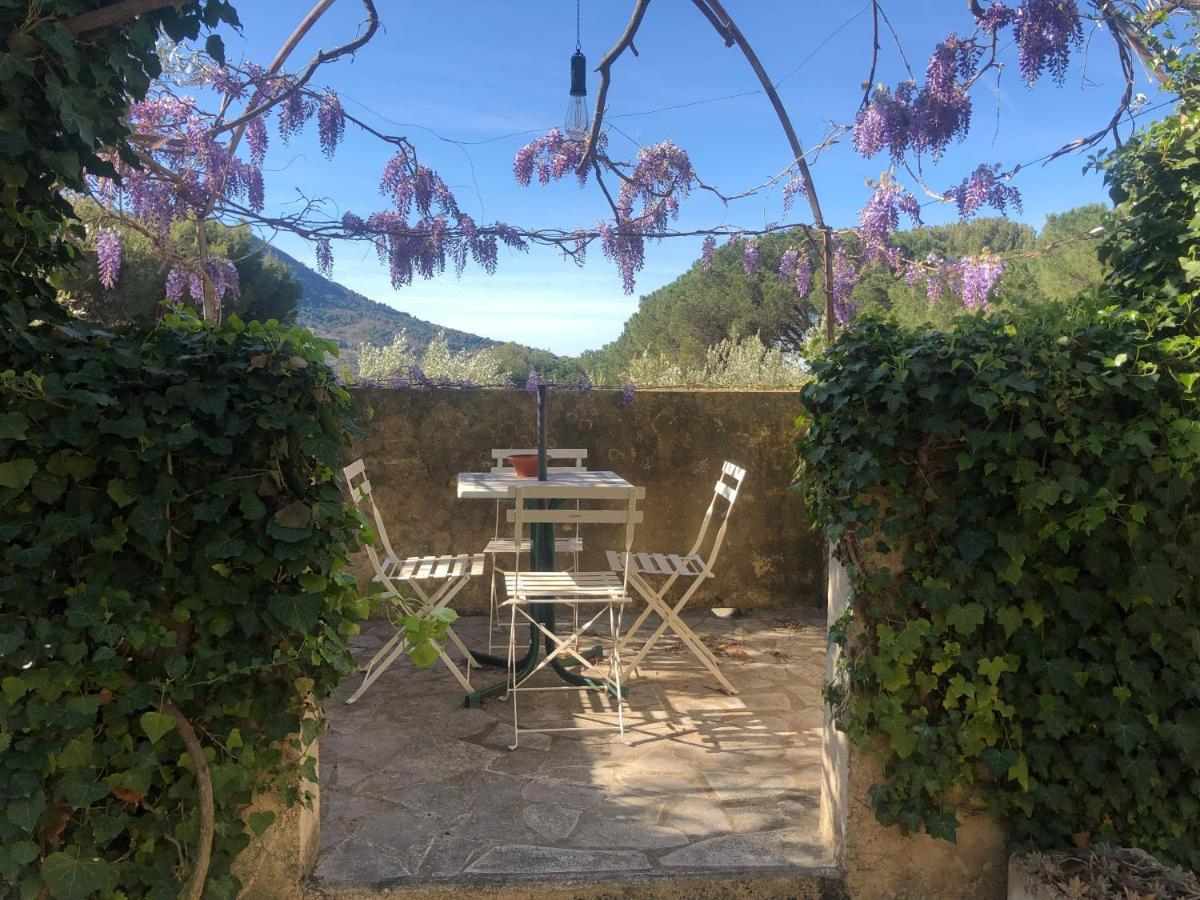 La Picholine En Provence Hotell Nyons Exteriör bild